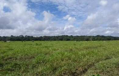 Imagem 10: R$45 milhões fazenda 2.400 alqueires no Maranhão dupla aptidão