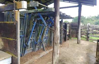 Imagem: A fazenda possui 6292000-0m² de Área e está localizado em