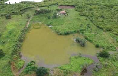Imagem 11: FAZENDA EM GUAIUBA 97 HECTARES
