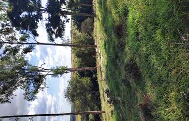 Imagem: A fazenda está localizado em Oliveira, MG à venda por