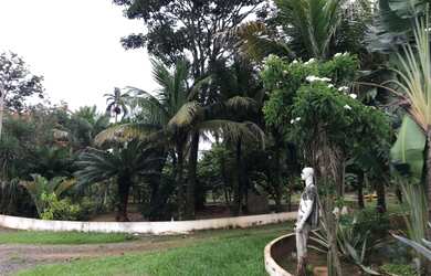 Imagem: A chácara está localizado em Votuporanga, SP à venda por