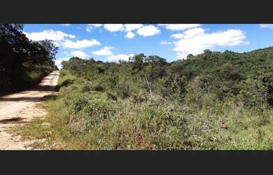 Imagem 4: Fazenda de 110 há em São Tiago