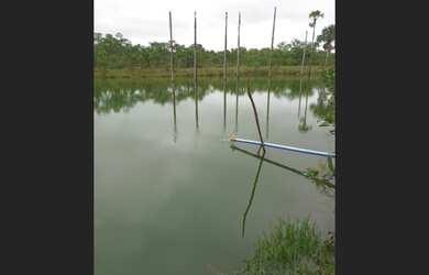 Imagem: A fazenda possui 2 Dormitórios, 1 Suíte, 1 Banheiro, 96.000m²