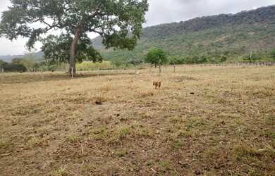 Imagem: A fazenda possui 820.000m² de Área, Direto com o proprietário