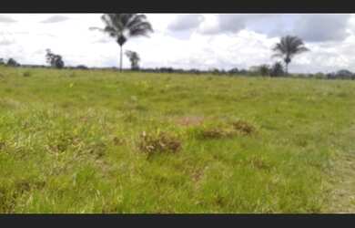 Imagem 6: Fazenda 125 hectares por 950 mil reais 100 hectares de pasto no Pará...