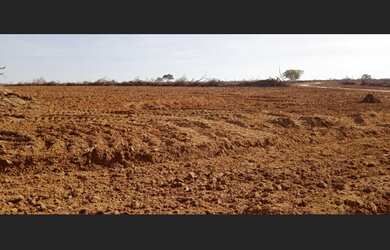 Imagem 2: 47 Alqs Arrendamento Disponivel Pra Soja Formoso do Araguaia TO