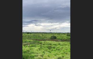 Imagem 1: Fazenda Tailandia 273ha. Direto com o proprietário, 2.730.000m² de Área,...