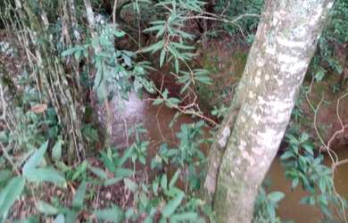 Imagem 3: Fazenda de 104 há em Itatiaiuçu MG