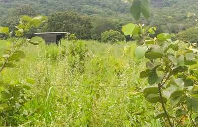 Imagem: A fazenda está localizado em Uruaçu, GO à venda por R$3.000.000