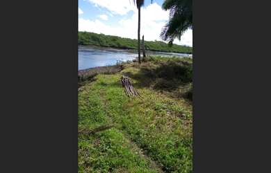 Imagem: A fazenda possui 190.000m² de Área e está localizado em