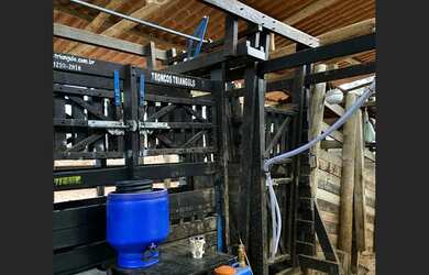 Imagem 6: Fazenda de 74 ha em Sao Tiago