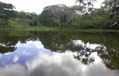 Imagem 2: Fazenda 56 hectares. 560.000m² de Área