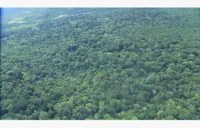 Imagem: A fazenda e está localizado em Cujubim, RO à venda por R$1.000.000