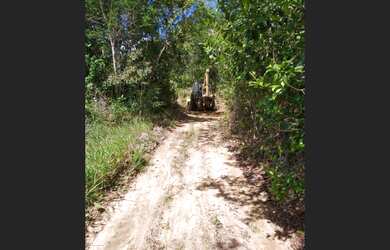 Imagem 7: Fazenda em Nazaré -Ba. 