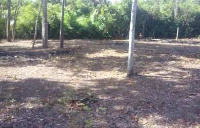 Imagem: O terreno à venda possui e está localizado em Santarém