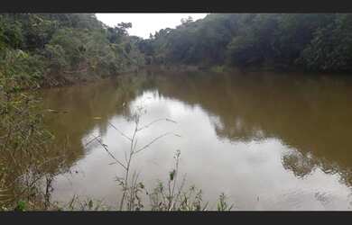 Imagem 7: Excelente fazenda de café