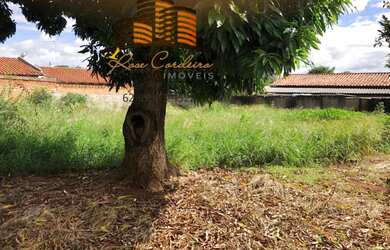 Imagem 5: Excelente area 3.200m² Senador Canedo