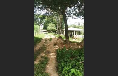 Imagem 11: Fazenda de 14 há em São Tiago MG