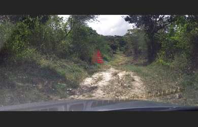 Imagem 3: Área enorme c/ 18mil m², por apenas R$ 450 mil na Palestina