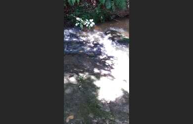 Imagem 4: Fazenda de 140 há em Sã Tiago MG