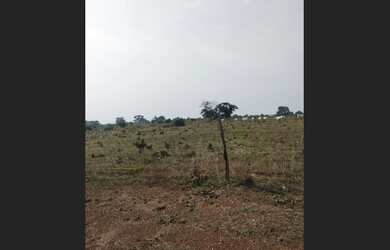 Imagem: A fazenda está localizado em Marianópolis do Tocantins, TO