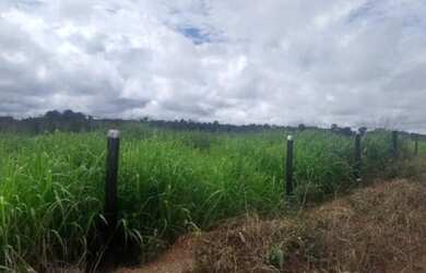 Imagem 4: R$45 milhões fazenda 2.400 alqueires no Maranhão dupla aptidão