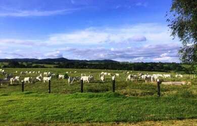 Imagem: A fazenda possui 6500000-0m² de Área e está localizado em