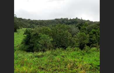Imagem: O terreno possui 8.700m² de Área e está localizado em Jacobina
