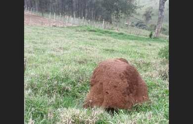 Imagem 10: Fazenda de 10 ha em Oliveira