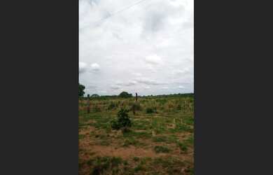 Imagem: A fazenda está localizado em Duerê, TO à venda por R$2.500.000