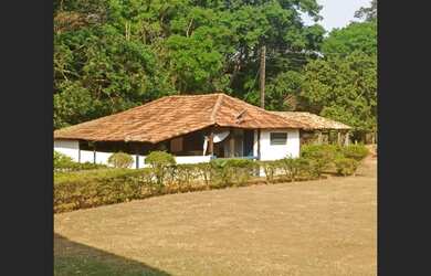 Imagem 7: Fazenda de 711 ha em Curvelo