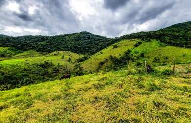Imagem: A fazenda possui 20.000m² de Área e está localizado em Joaquim