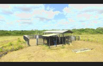 Imagem 4: 400 hectares com pasto pra gado no Pará por R$2 milhões fica passando...