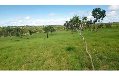 Imagem 4: 163 Alqs Pronta Planta Ótima Região Formoso do Araguaia TO