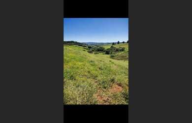 Imagem 15: Fazendinha de 15 ha em São Tiago