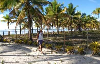 Imagem 11: Casa venda na Ilha do Contrato Ilha dos Tubarões Península de Marau