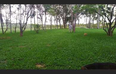 Imagem 7: FAZENDA EM HIDROLANDIA GOIAS