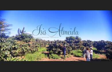 Imagem 5: Venda de Fazenda Produzindo Manga - Área com água em Produção - JUAZEIRO,...