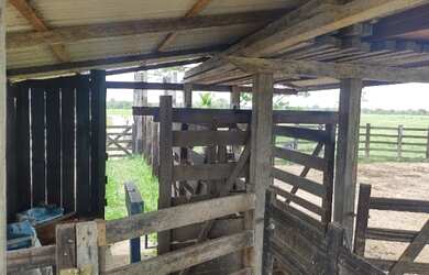 Imagem 5: 240 alqueires prontos a 120km de Belém-PA R$15 milhões aceita parcelamento