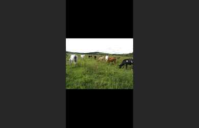 Imagem 2: Fazenda de 72 há em Oliveira MG