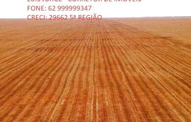 Imagem 5: Fazenda a venda em Santa Rita do Novo Destino