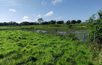 Imagem 15: Fazenda pronta 108 alqueires por R$10 milhões no Pará