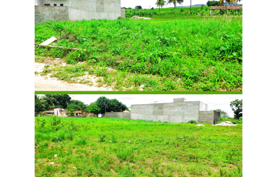 Imagem: O terreno está localizado em Guarabira, PB à venda por R$29.000