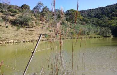 Imagem 7: Fazenda de 49 há em Itatiaiuçu
