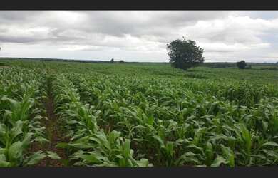 Imagem: A fazenda possui 269975200-0m² de Área e está localizado