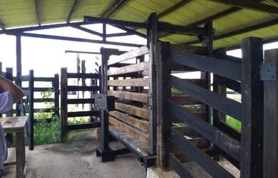 Imagem 7: R$45 milhões fazenda 2.400 alqueires no Maranhão dupla aptidão