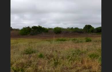 Imagem: O terreno possui 13.000m² de Área e está localizado em Saúde