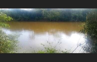 Imagem: A fazenda está localizado em Pindorama do Tocantins, TO à