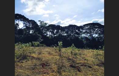 Imagem 4: Fazenda de 110 há em São Tiago MG