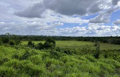 Imagem 5: Fazenda a venda Transcametá